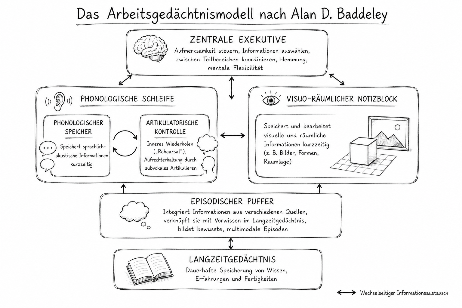 Schaubild des Arbeitsgedächtnismodells nach Alan D. Baddeley mit zentraler Exekutive, phonologischer Schleife, visuell-räumlichem Notizblock, episodischem Puffer und Langzeitgedächtnis.